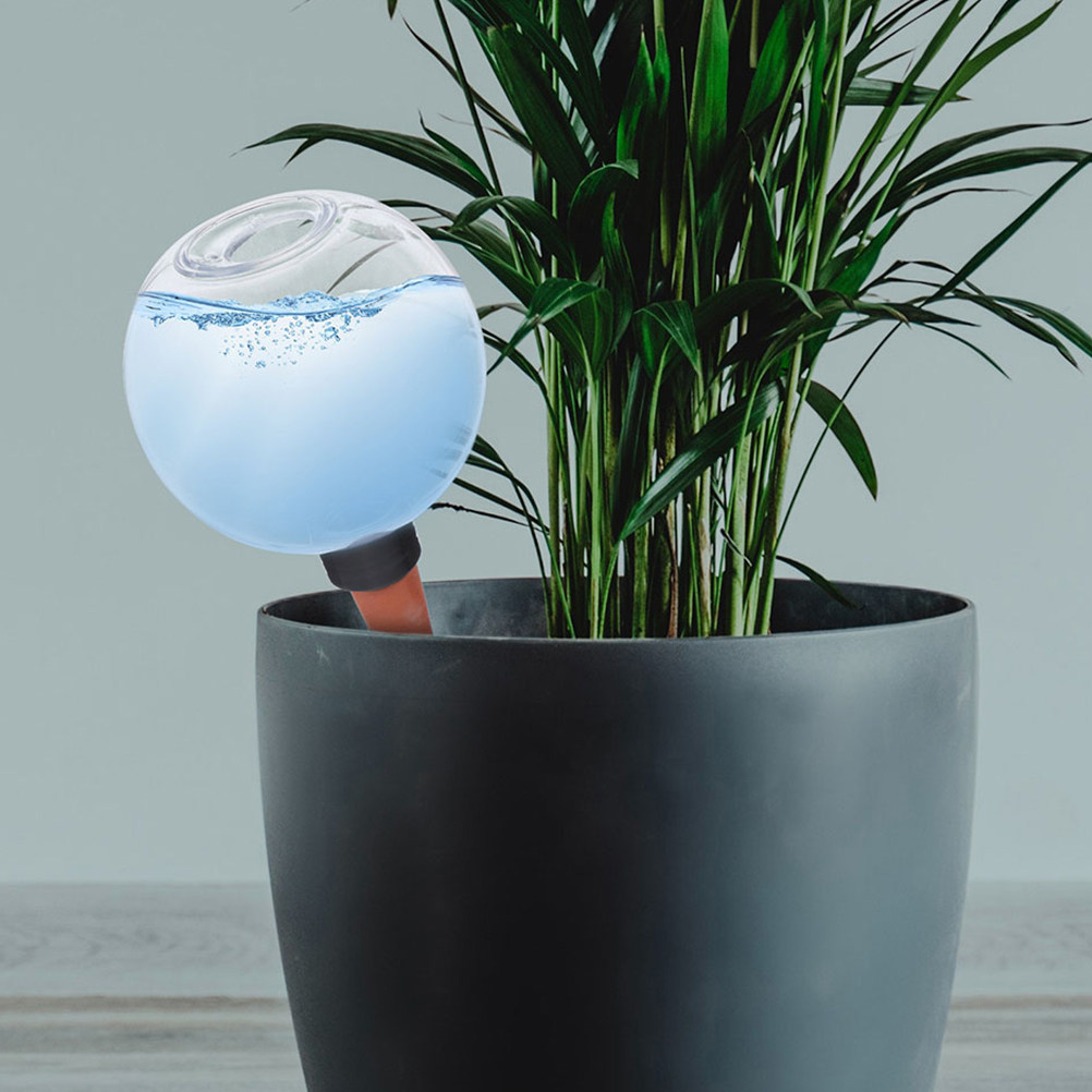 3Pcs Watering Globes Automatic - đánh giá và giá Self Watering Insert